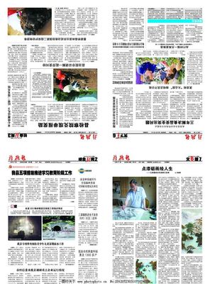 報紙刊物圖片